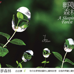 汤芳—乌苏里船歌写真
